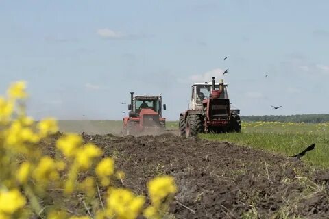 Полевые работы летом