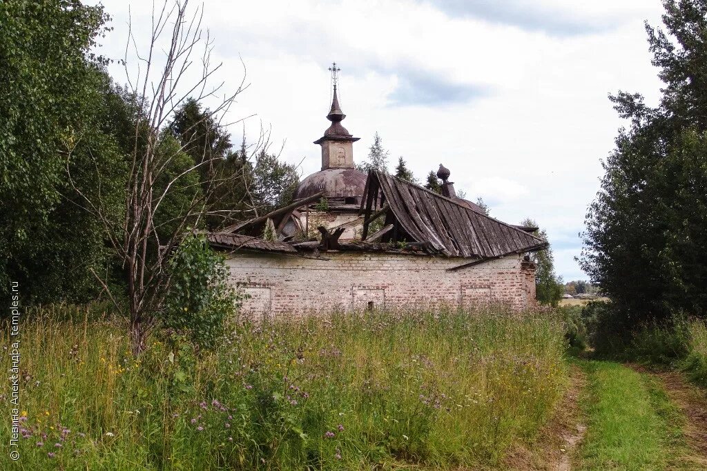 Деревни никольского района вологодской области. Деревня никольское вологодская область. Деревня никольские. Деревня займище никольский район вологодская область. Деревни вологодской области сокольский район.