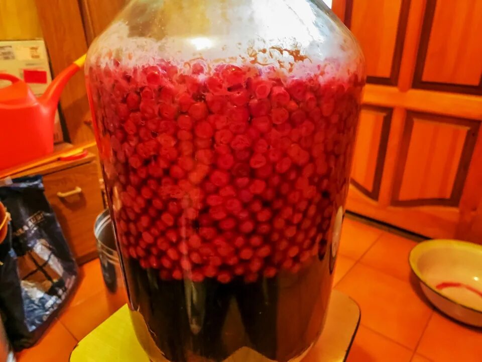 Как сделать домашнее вишневое. Домашнее вино. Вино вишневое домашнее. Вино из вишни с косточками. Домашняя настойка из ягод.