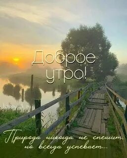 Деревенский пейзаж утро
