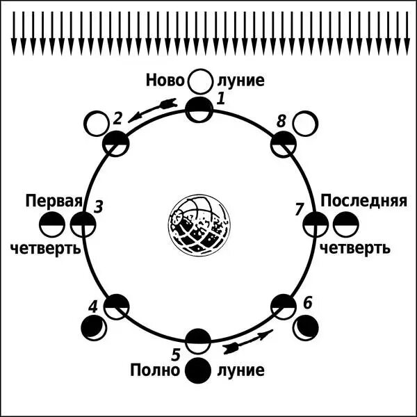 Выберите верные утверждения синодический лунный месяц