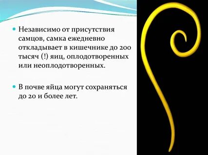 Сообщение про круглых червей
