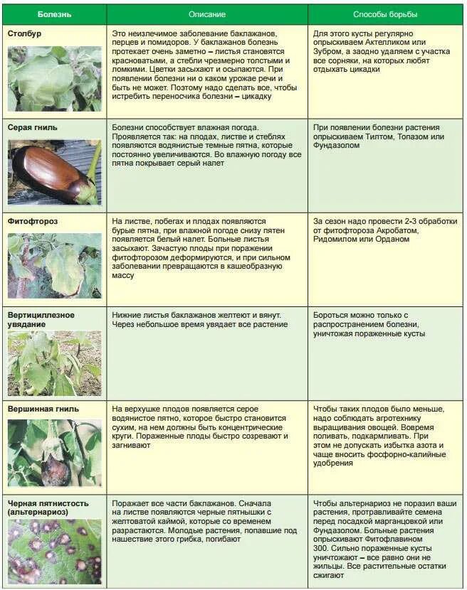 Вредители и болезни растений. Обработка овощей от вредителей и болезней. Болезни огурцов таблица. Болезни и вредители растений таблица. Болезни листьев томатов описание