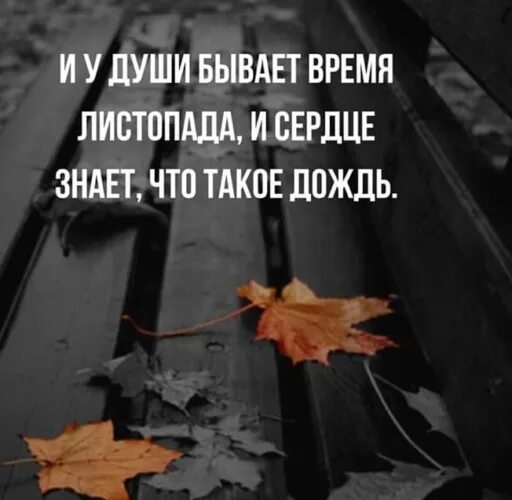 Почему на душе бывает. И у души бывает время листопада. и у души бывает время листопада и сердце. и у души есть время листопада и сердце знает что такое дождь. душа плачет.