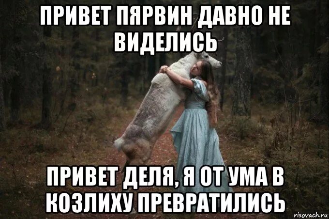 Привет а мы не виделись наверно сто. Привет давно не виделись. давно не виделись картинки. когда давно не виделись. открытка давно не виделись.