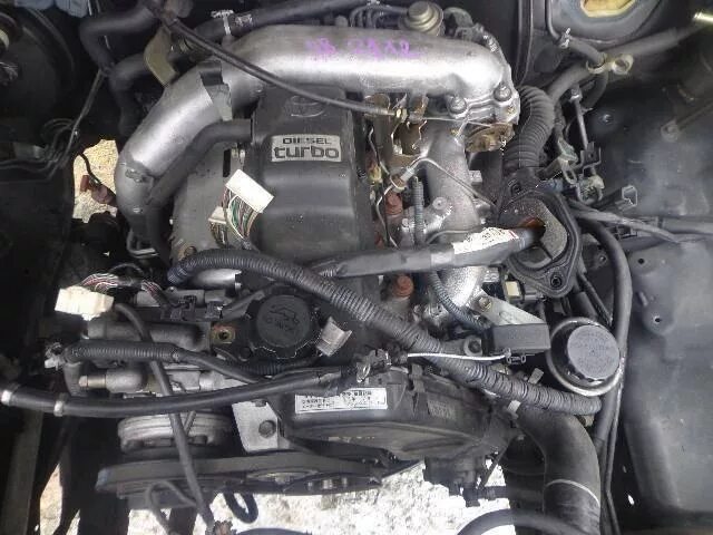 Сурф 130 1kz. Сурф 130 1kz. Сурф 130 1kz. Сурф 130 1kz. Сурф 130 1kz.