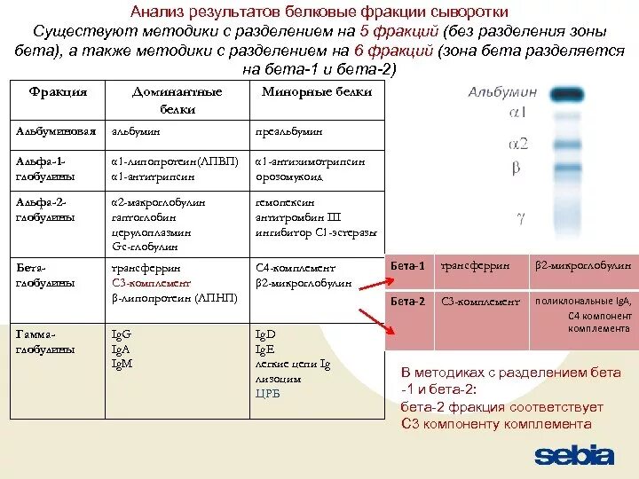 Фракции белков норма. Белковые фракции крови расшифровка. Фракции анализ крови. Белковые фракции анализ крови. Белковые фракции анализ.