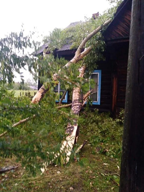 Новости тв12 нижнеудинск. Новости тв12 нижнеудинск. Новости тв12 нижнеудинск. Пожар. Новости тв12 нижнеудинск.