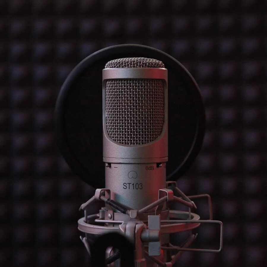 Студийный микрофон rode nt1-a. Студия звукозаписи микрофон. Акустический экран для микрофона от echo slayer. Микрофон самсон 800. Микрофон для студии записи.