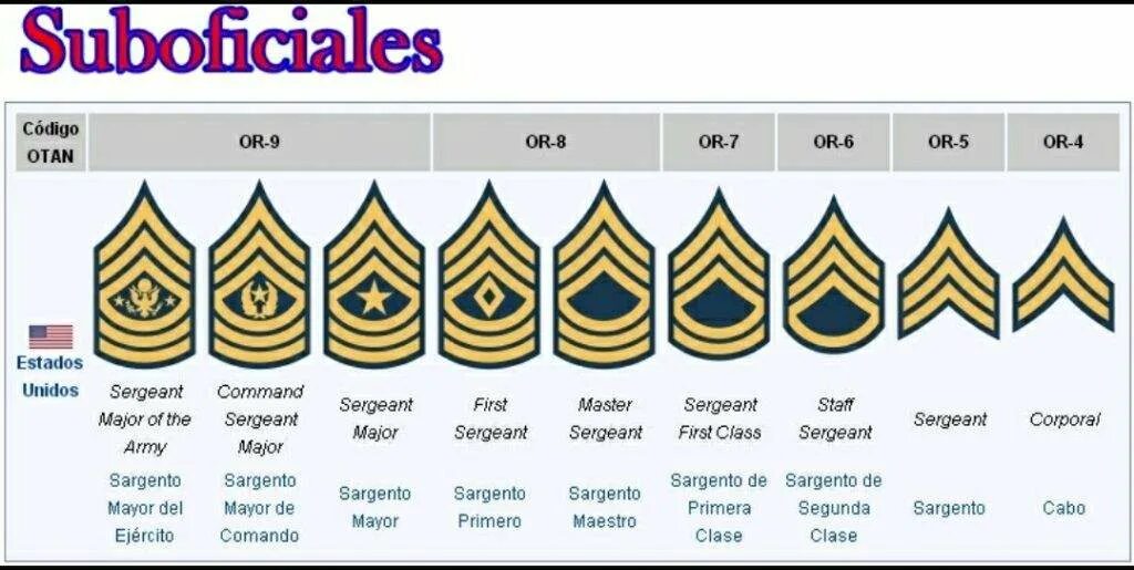 Сокращение сержант. United States Army Ranks. English Army Ranks. Сержант первого класса армии США.