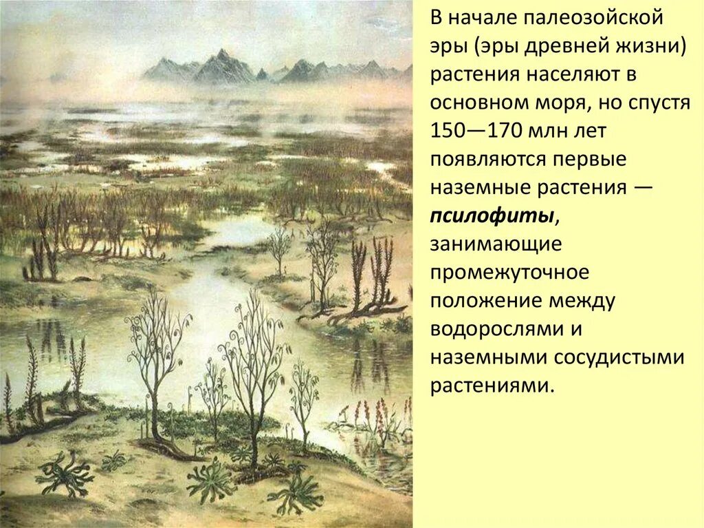 Палеозой кратко. Палеозойская Эра растения. Жизнь в палеозойскую эру. Палеозой Эра древней жизни. Растения и животные палеозойской эры по периодам.