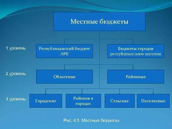 Бюджет первого уровня. Уровни местных бюджетов. Республиканский бюджет и местный бюджет. Местный уровень бюджетной системы. Уровни бюджета.