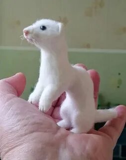 Сколько ласки