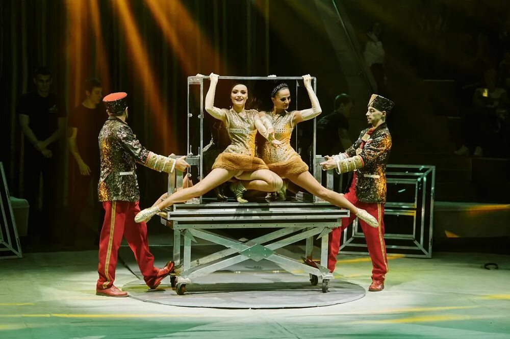 воронеж цирковое представление