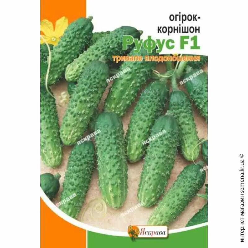 Огурец кибрия f1. Огурец эстафета манул. Огурец кнопа f1. Огурец парижский корнишон. Огурцы семена оптом.