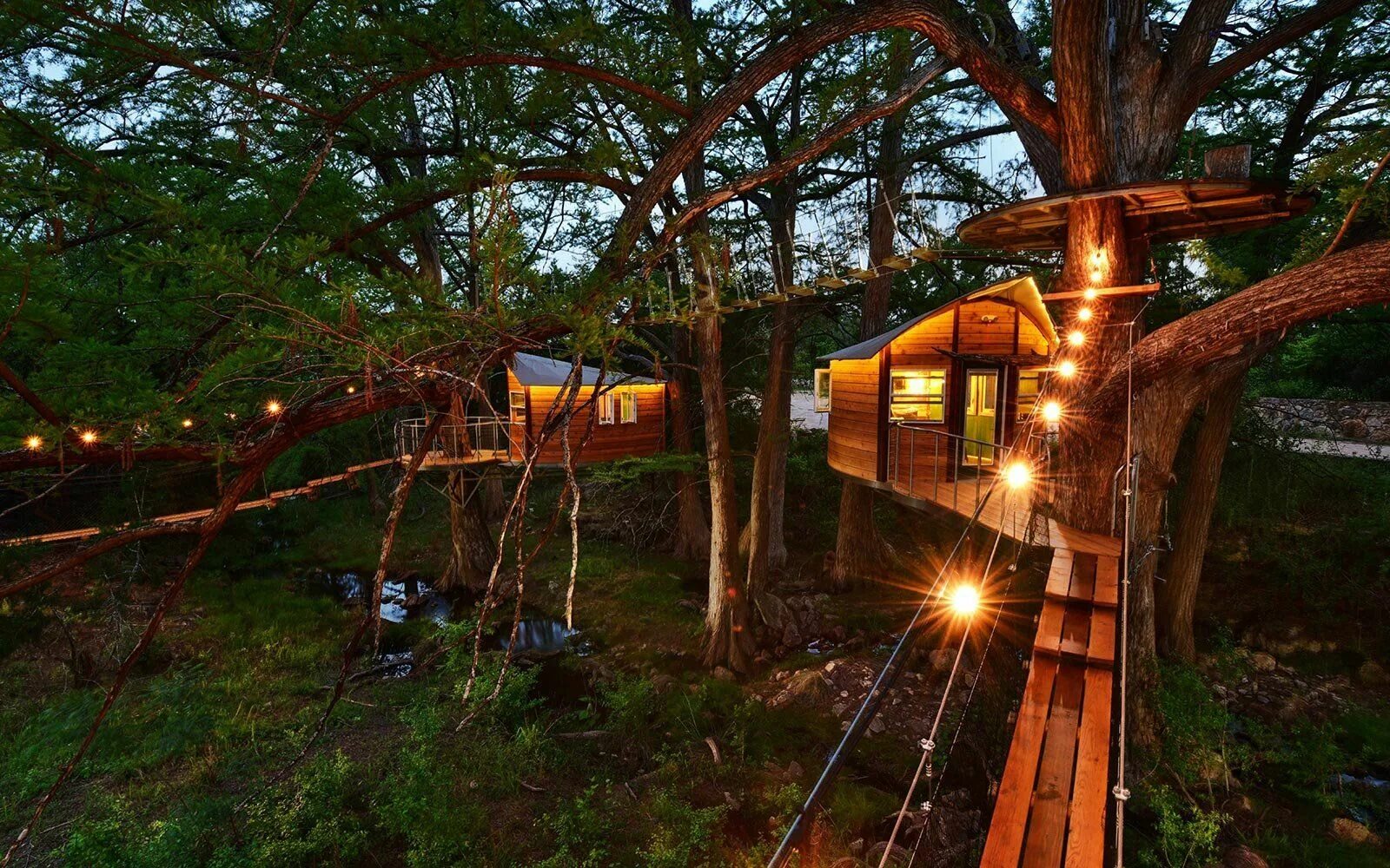It s a tree house. Отель treehouse домики на деревьях. домик на дереве глэмпинг. глэмпинг шалаш. отель «домик на дереве» в харадсе, швеция.