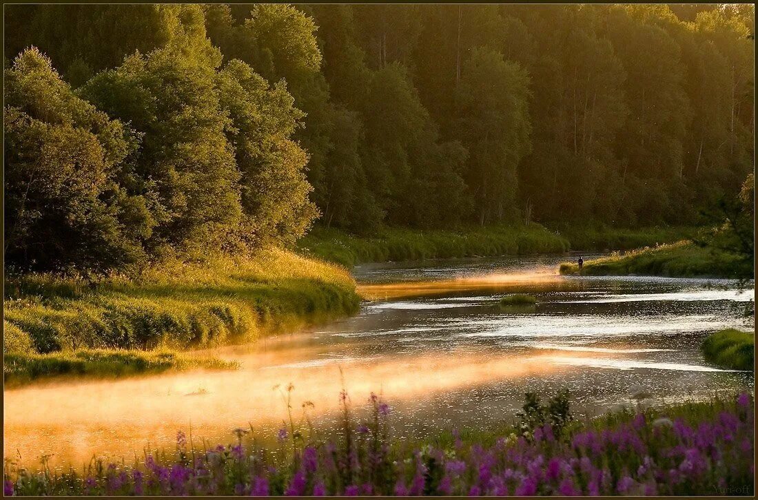 Картинки природы река. Природа река. Лесная река. Природа лес река. Лето природа.