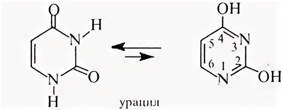 Молекула урацила