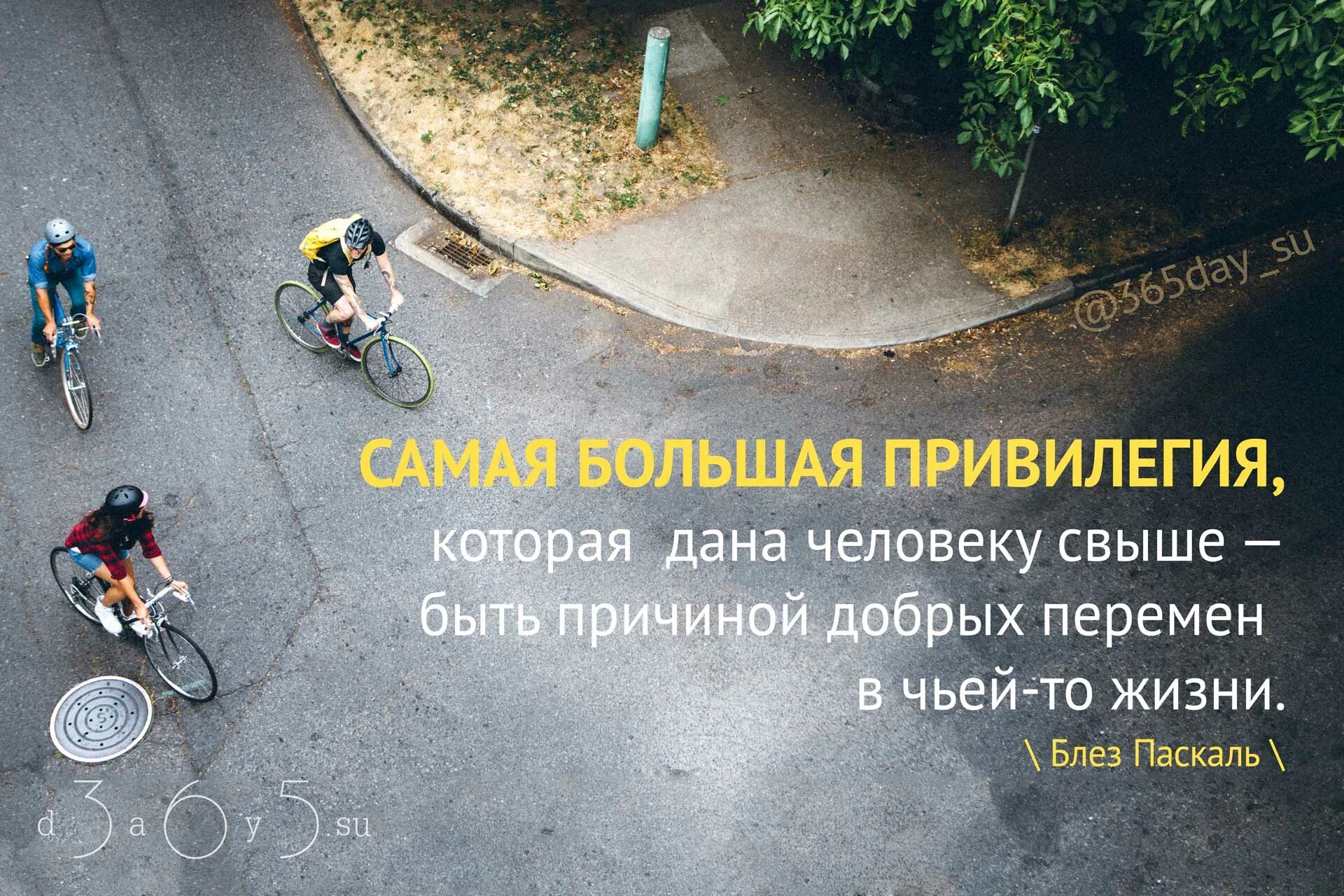 Самая большая привилегия. Самая большая привилегия в жизни быть причиной добрых перемен. самая большая привилегия которая дана человеку свыше быть. самая большая привилегия которая дана. большая привилегия быть причиной.