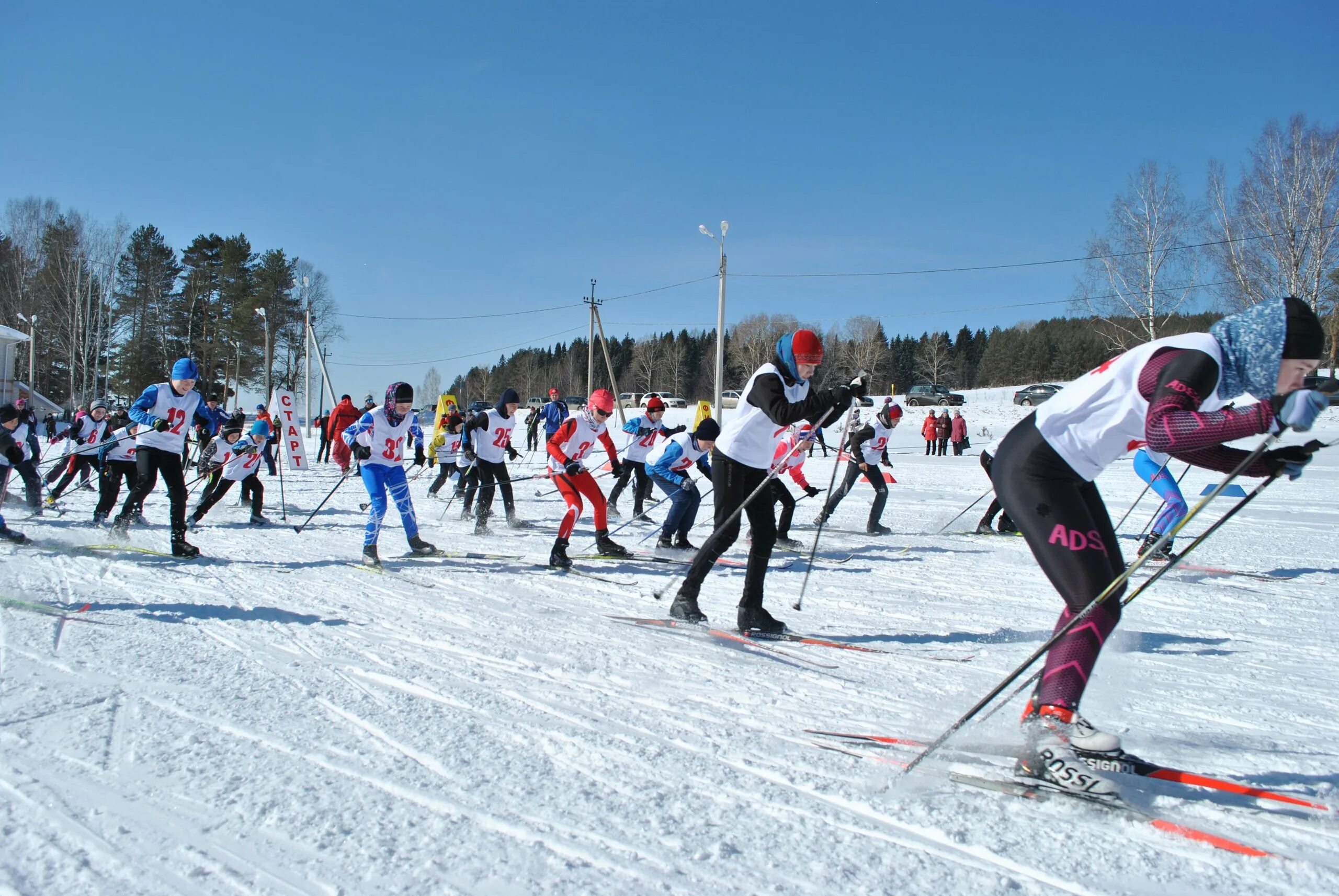 Лыжный спорт программы. Спорт лыжные гонки. Канаш лыжные гонки. Лыжные соревнования. Лыжня соревнования.