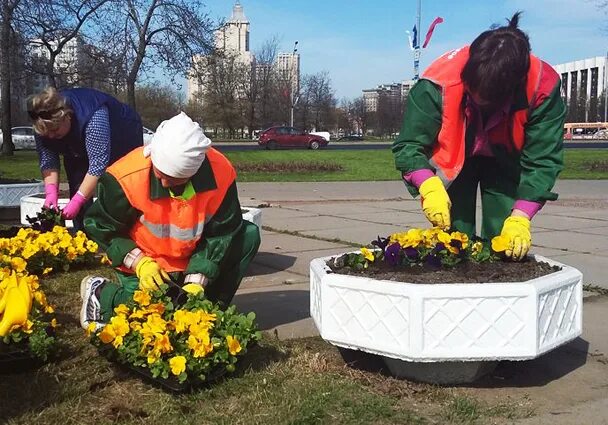 В Рузском округе около 30 граждан были задействованы на общественных работах - Н