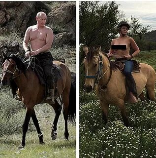 Фото Путина На Коне Без Рубашки.