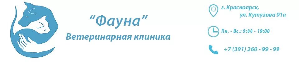 Лакки красноярск ветклиника. Ул. Лакки красноярск ветклиника. Ветеринарная красноярск. Ветклиника на ладо кецховели красноярск.