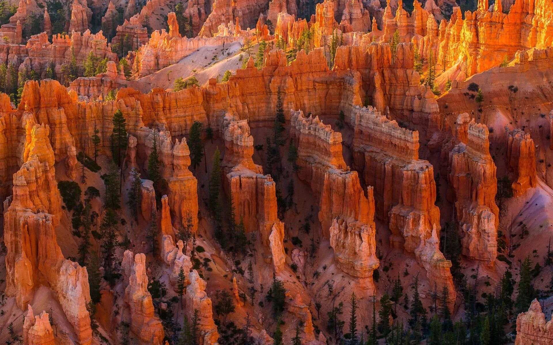 Долина монументов (штат аризона). Национальный парк сша долина монументов в аризоне. Каньон скала аризона. Национальный парк гранд каньон сша. Скалы в америке.