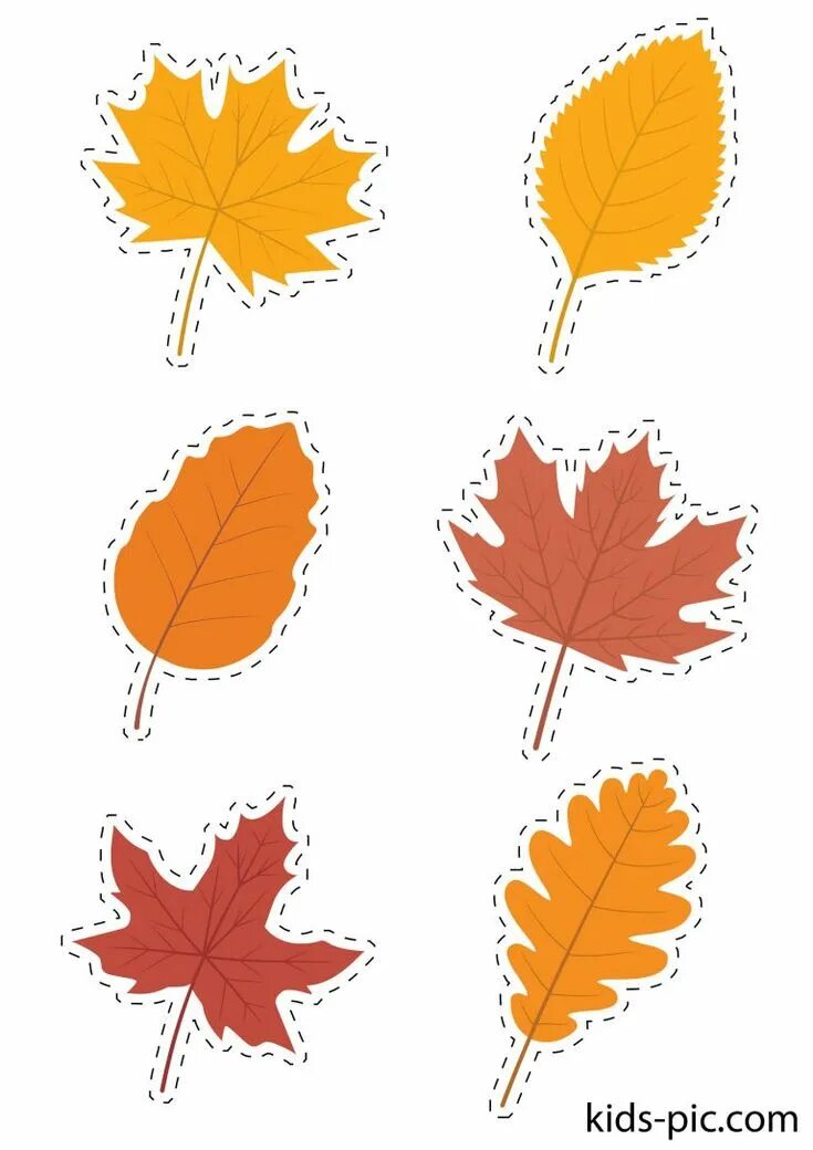 Осенние листья для вырезания. Шаблоны осенних листьев. Листьев для вырезания. Листья шаблоны для вырезания. Осенние листья трафарет.