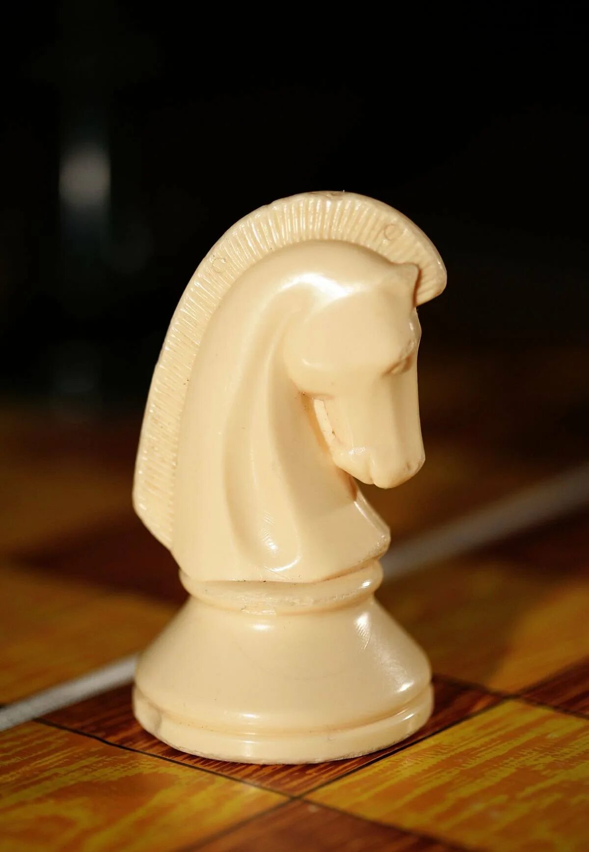 Шахматный конь. Шахматная фигура конь. Фигура коня в шахматах. Фигуры в шахматах. 2 коня шахматы