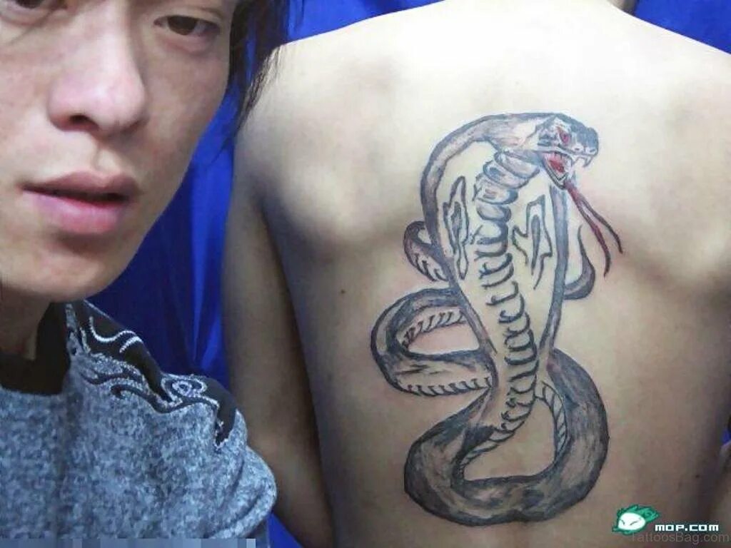 Snake back