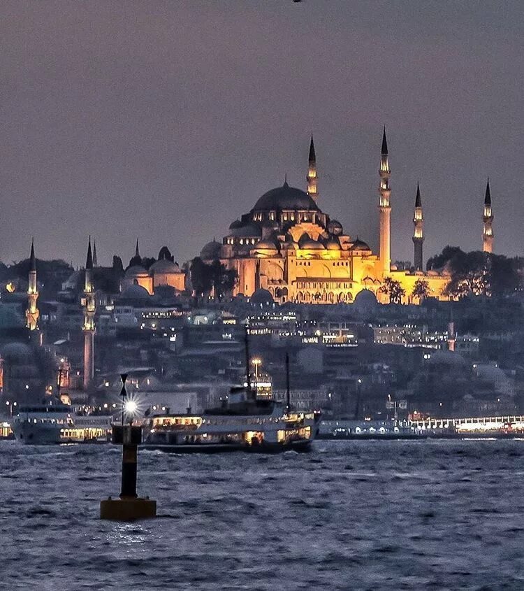 Разница со стамбулом. Стамбул Босфор мечеть. Стамбул Босфор Чайки мечети. Мечеть Сулеймание Стамбул с Босфора. Güngören, Стамбул, Турция.