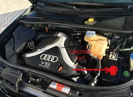 Audi A6 үшін алдыңғы амортизаторды қолдау жастықтары