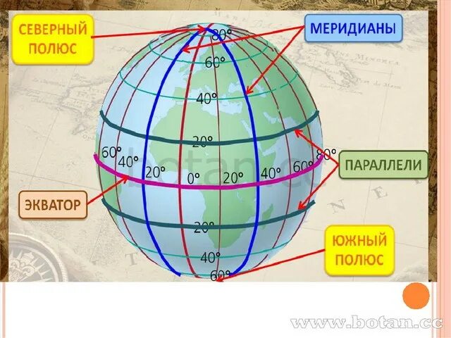 Параллели и меридианы 5 класс география. Градусная сетка. Градусная сетка географические координаты. Градусная сетка 5.