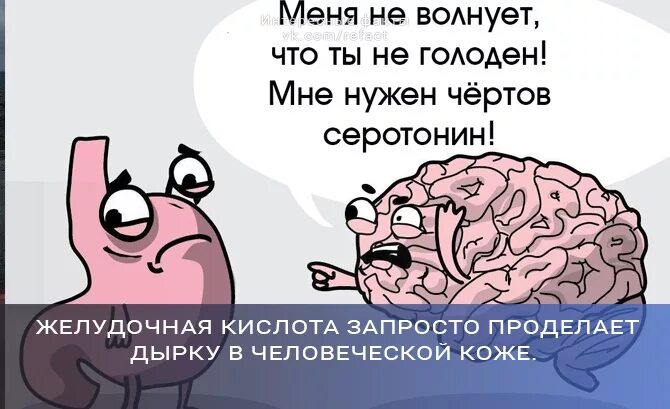 Независимый волнуемый. Меня не волнует что ты не голоден мне нужен серотонин. Мне нужен чертов серотонин. Серотонин прикол. Картинка комиксы сератонини.