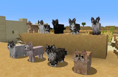 Better mod 1.16 5