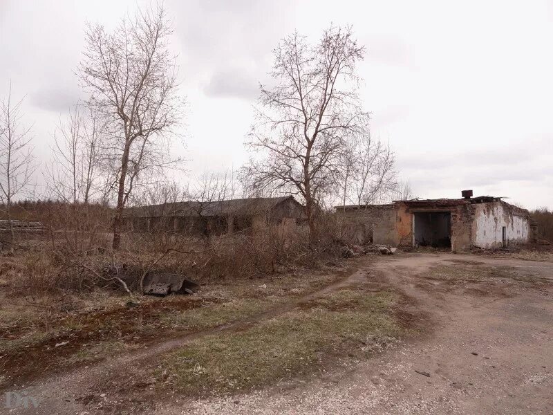 погода тесово 4 на неделю