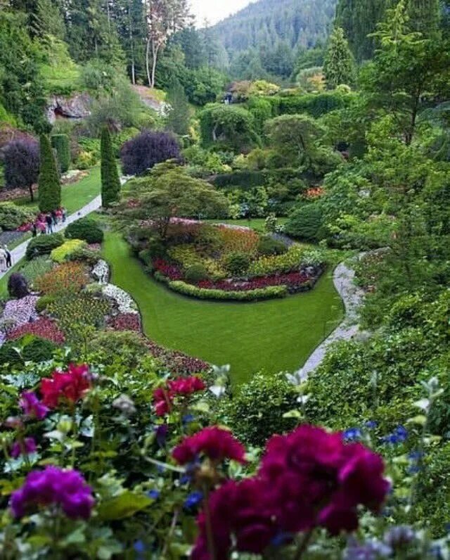 Ландшафт абердин. Лучшие сады видео. Пейзажный парк сад левенс холл. Лучшие сады видео. Розмари александер.