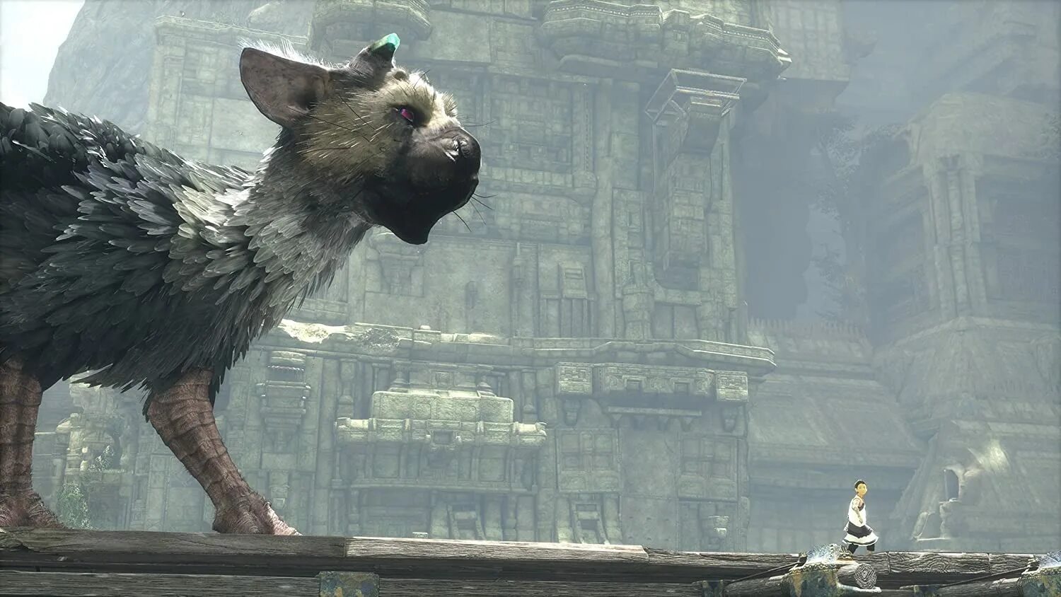 Ласт гардиан. Трико ласт Гардиан. Трико the last Guardian. The last Guardian ps4. Игра the last Guardian.