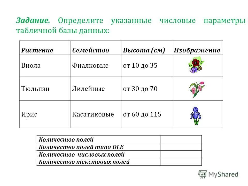 Дата лист. Определите указанные числовые параметры табличной базы данных. Кол-во текстовых полей. Первое поле числового типа. База данных растений.