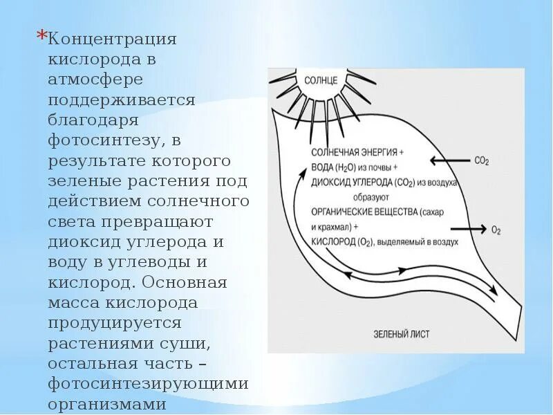 Концентрация кислорода. Концентрация кислорода в атмосфере. Изменение содержания кислорода в воздухе. Содержание кислорода в атмосфере. Важную роль накопления кислорода в атмосфере играют