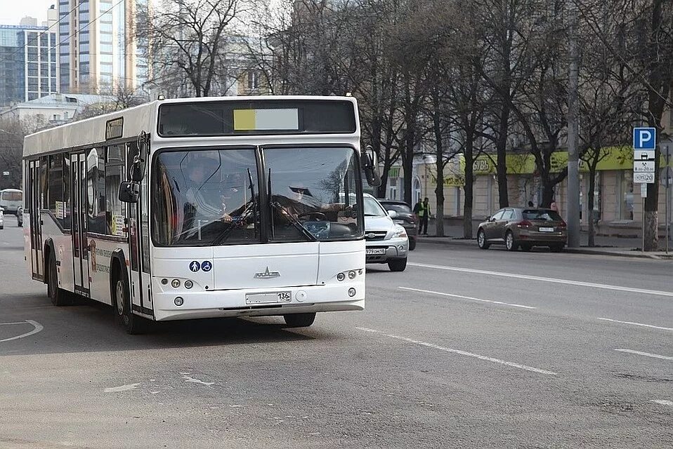 Маршрут 15 автобуса воронеж. 15 Маршрут Воронеж. Межмуниципальный транспорт это. Маршрут 6м Воронеж. Транспортная система города Воронеж.