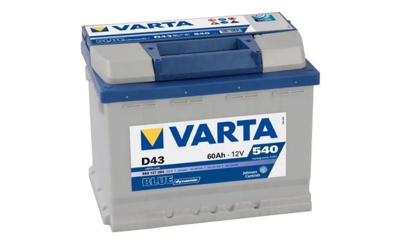Blue dynamic d43