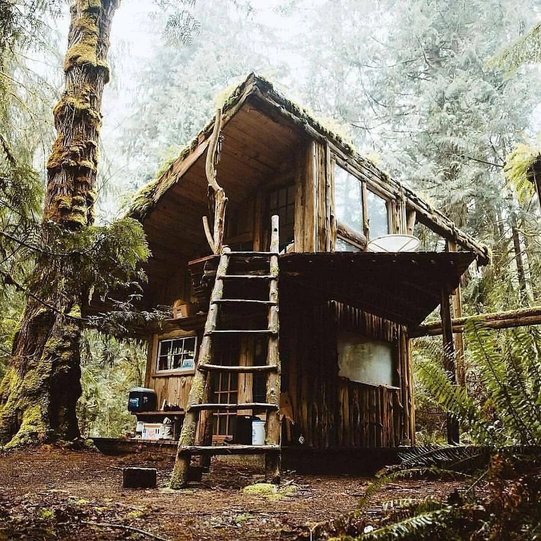 Домик из горбыля. Бушкрафт жилище. Лесные постройки. Постройки в лесу. Бушкрафт шалаш.