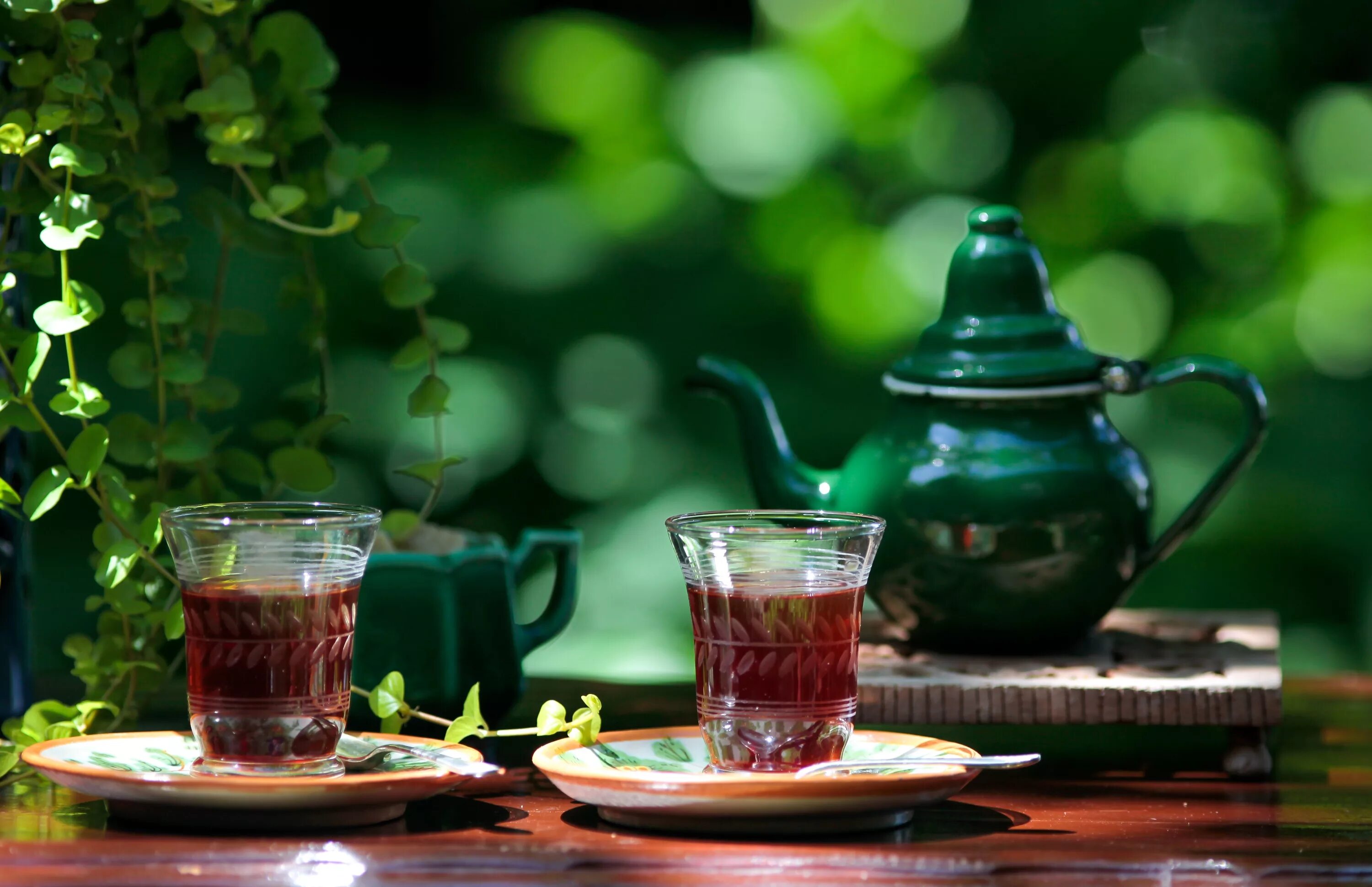 Зеленый чай вечером. Чашка чая. Чай в чайнике. Красивое чаепитие. Чашка с чаем.