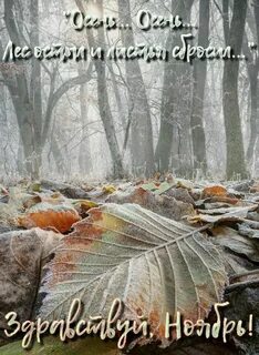 Есть время поздней осени