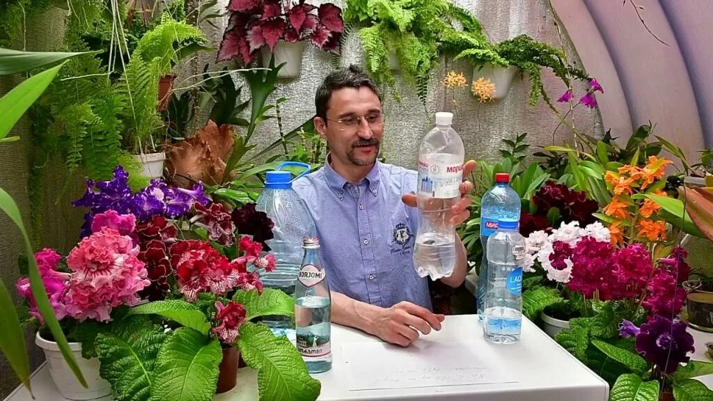 Комнатные цветы полив. Газировка вода. Вода и полив растений. Что будет если пить много колы. Омовение водой.