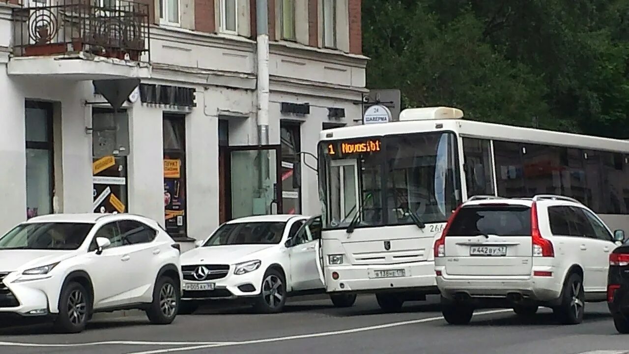 Лазурный автобус. Автобус 113 СПБ. Водитель автобуса СПБ. Партия автобусов СПБ.