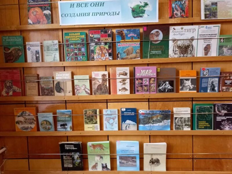 Книжная выставка к всемирному дню животных. Выставка книг о животных. Книжная выставка к дню защиты животных. Книжные выставки к международный день защиты животных в библиотеке. Выставка ко дню защиты животных.
