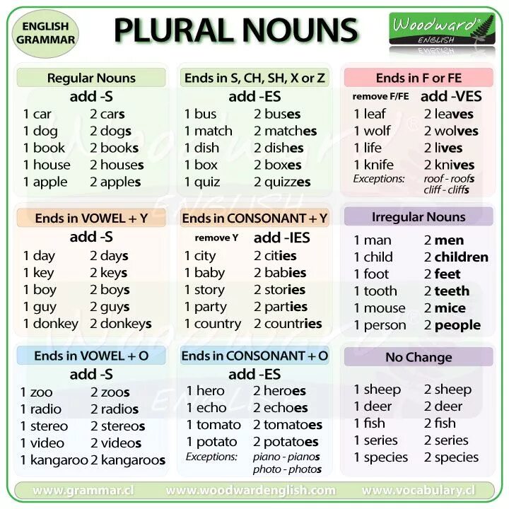 Plural Nouns English. Plural of Nouns множественное число существительных. Plural form in English. Plural and singular Nouns в английском языке. Regular class